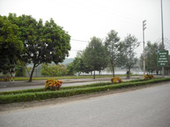 Đại lộ Nguyễn Thái Học (TP Yên Bái).